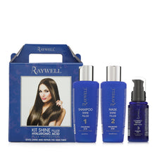 Load image into Gallery viewer, Shine Filler Kit - 3 pcs